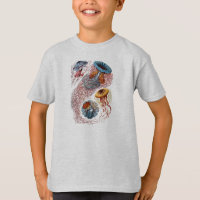 Shirt do Estudo de Jellyfish Haeckel