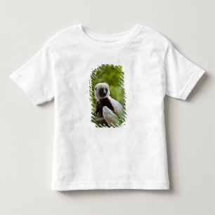Camiseta Sifaka de Coquerel na floresta 2