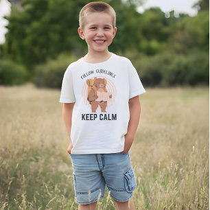 Camiseta Siga as diretrizes, mantenha a calma