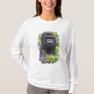 Camiseta Silverback Lowland Gorilla, Gorilla gorilla