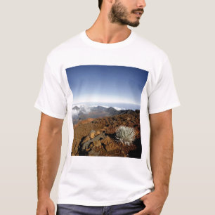 Camiseta Silversword no cume da cratera Haleakala de perto