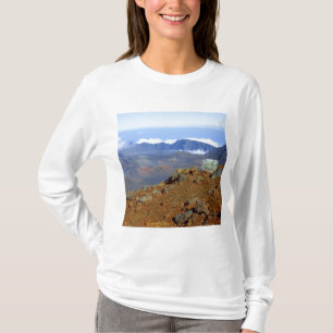 Camiseta Silversword no cume da cratera Haleakala de perto