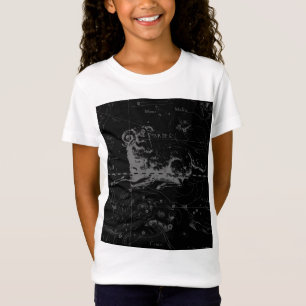 Camiseta Símbolo Aries Constelação Hevelius cerca de 169