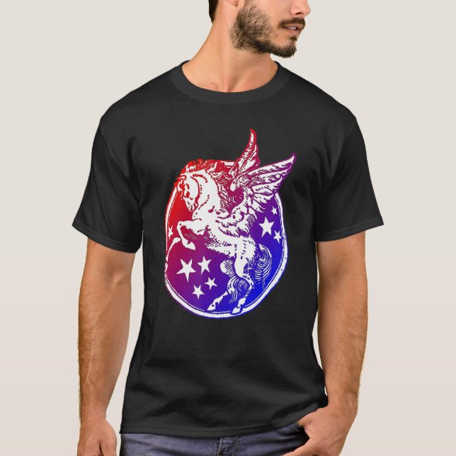 Camiseta Símbolo de potência ventilado do cavalo voador Peg (Frente)