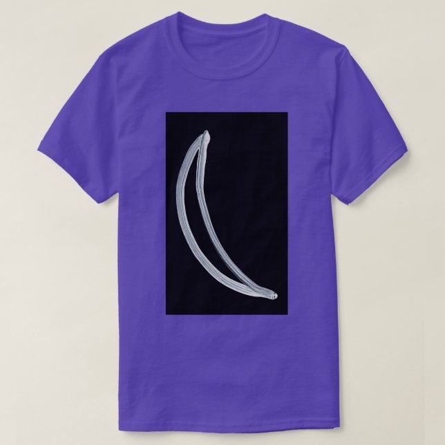 Camiseta Símbolos Alquímicos Silver Dois Invertidos (Frente do Design)