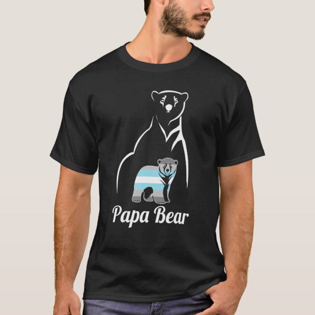 Camiseta Sinalizador de Orgulho Demigender do Papa Urso Dem (Frente)