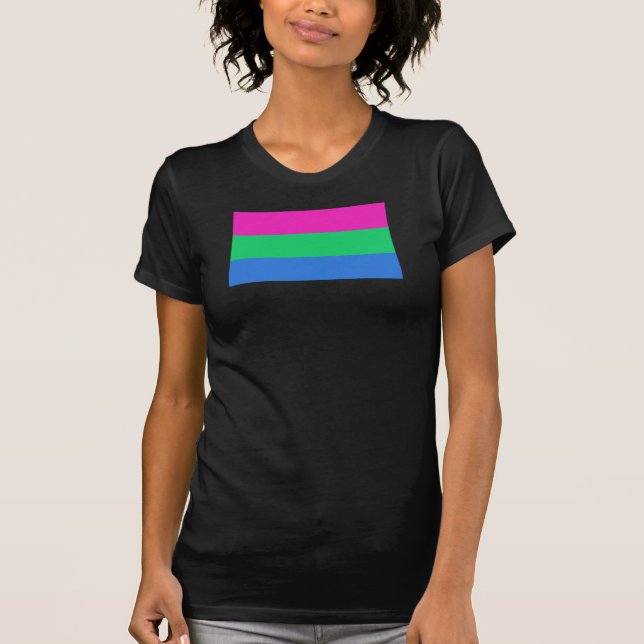 Camiseta Sinalizador do Orgulho Polisexual (Frente)