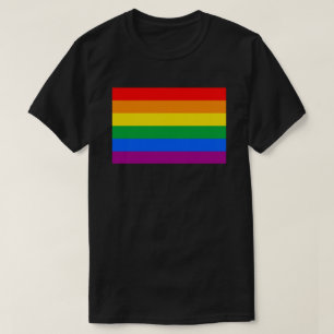 Camiseta Sinalizador LGBTQ+ Rainbow