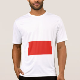 Camiseta sinalizador Polônia