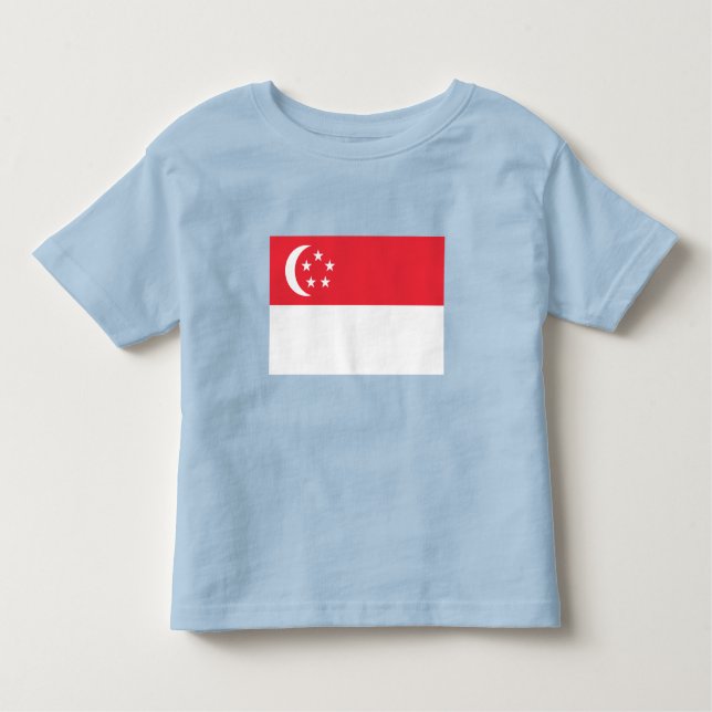 Camiseta Singapore Flag (Frente)