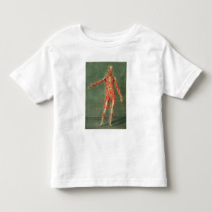 Camiseta Sistema muscular superficial da parte dianteira da