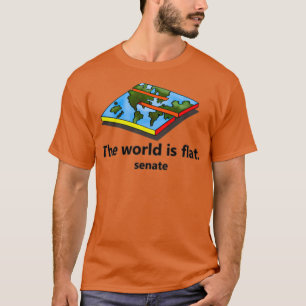 Camiseta skate senado o mundo é plano