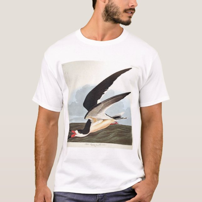 Camiseta Skimmer ou Shearwater preto (Frente)