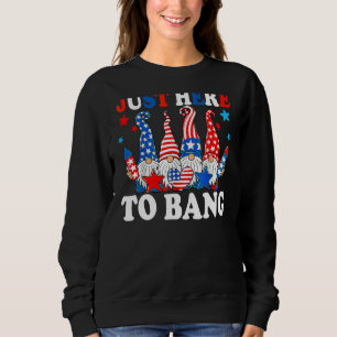 Camiseta Só Aqui Para Bang 4 De Julho Fireworks American G