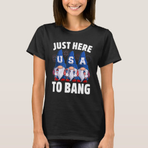 Camiseta Só Aqui Para Bang 4 De Julho, Gnomos Cujos Seguran