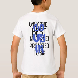 Camiseta só as melhores sobrinhas são promovidas a primo gr