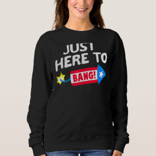 Camiseta Só estou aqui para pegar fogos de artifício 4 de j