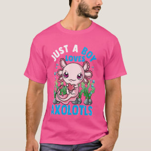 Camiseta Só um menino que ama Axolotls, Festa de aniversári