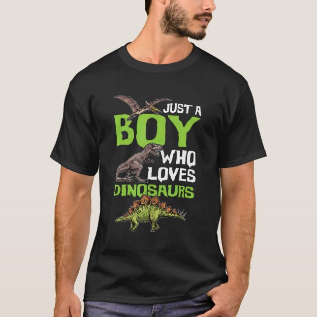 Camiseta Só Um Menino Que Ama Dinossauros Para Dar Um Dinos (Frente)