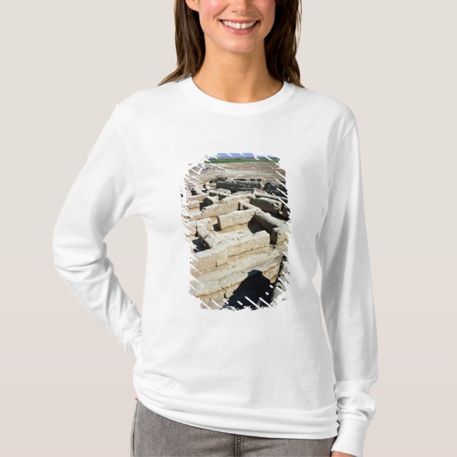 Camiseta Sobras das casas (Frente)