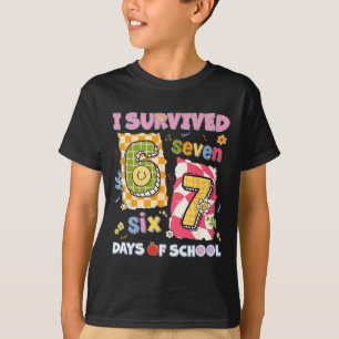 Camiseta Sobrevivi 67 Dias De Escola Piada Engraçada Menino