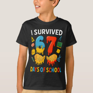 Camiseta Sobrevivi a 67 Dias de Aula Meme Divertido Profess