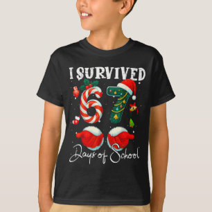 Camiseta Sobrevivi a 67 Dias de Escola Piada Meme Professor