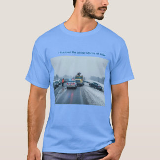 Camiseta Sobrevivi às Tempestades de Inverno de 2026