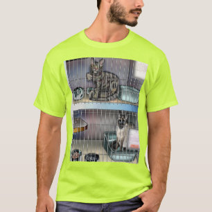 Camiseta Sociedade Humanitária para Gatos primeiro