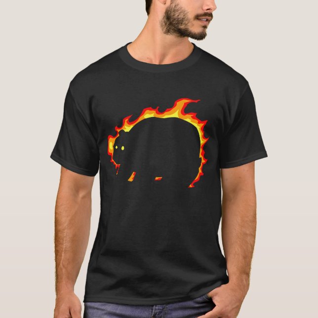 Camiseta solarbear3 (Frente)