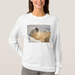 Camiseta Soneca do Urso Polar