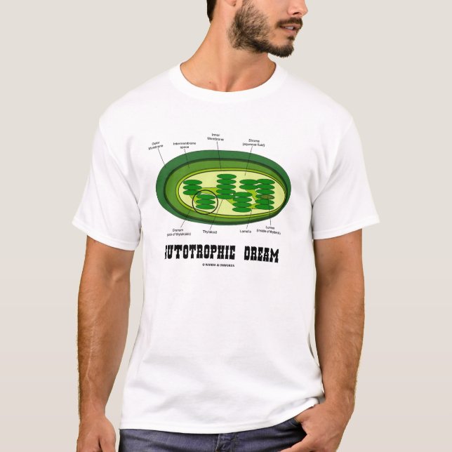 Camiseta Sonho autotrófico (cloroplastos) (Frente)