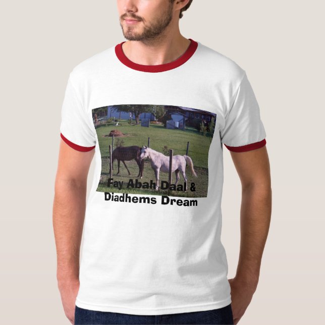CAMISETA SONHO FAY DE ABAH DAAL & DE DIADHEMS. (Frente)