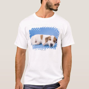 Camiseta Sono do cão