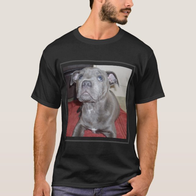 Camiseta Sooky Blue Staffordshire Bull Terrier Puppy, (Frente)