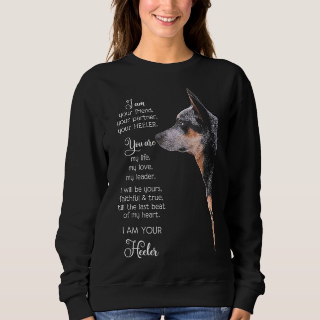 Camiseta Sou Seu Amigo Seu Parceiro Seu Colega (Frente)