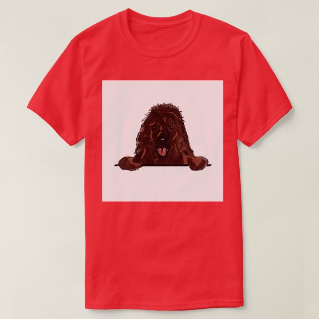Camiseta Spaniel de água irlandês (Frente do Design)