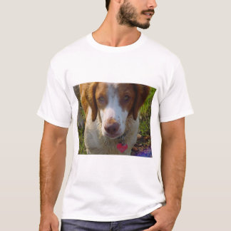 Camiseta Spaniel de Brittany