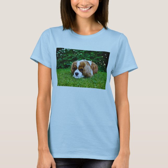 Camiseta Spaniel de rei Charles descuidado Blenheim na (Frente)