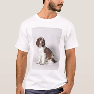 Camiseta Spaniel de Springer