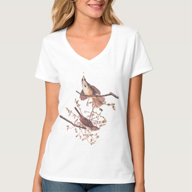 Camiseta Sparrow Audubon Song com Aranha Pequena (Frente)