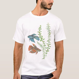 Camiseta Splendens de Betta e branco indica de Rotala