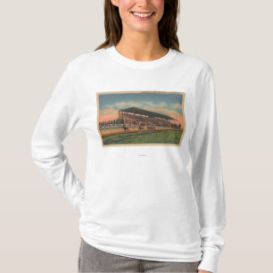 Camiseta Springfield, IL - cavalo justo das terras do