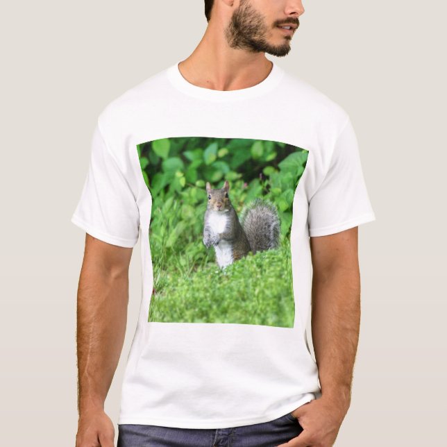 Camiseta Squirrel (Frente)