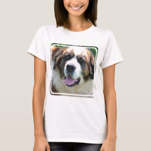 Camiseta St Bernard bonito