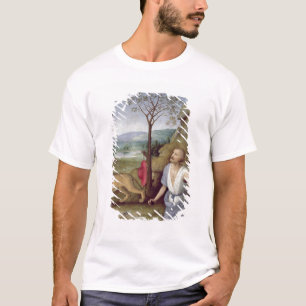 Camiseta St Jerome no deserto, c.1499-1502