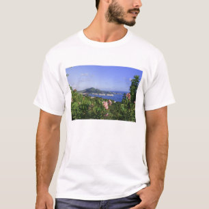 Camiseta St. Thomas, Ilhas Virgens Americanas. Charlotte