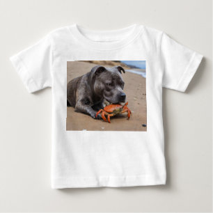 Camiseta Staffy É Amigo De Um Caranguejo De Praia,