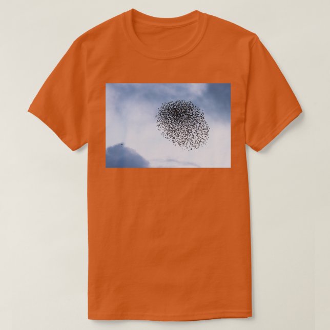 Camiseta Starlings v sparrowhawl I (Frente do Design)