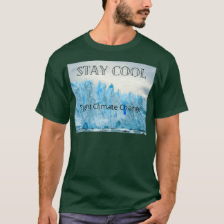 Camiseta Stay Cool Fight Climate Change